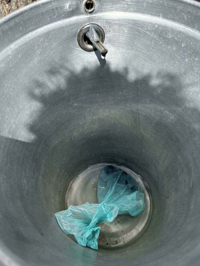 A bag inside an empty metal trash bin, highlighting lack of self-awareness in waste disposal.