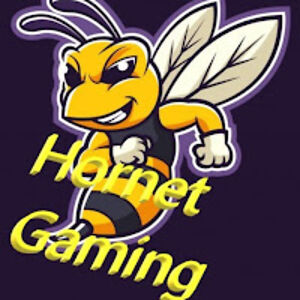 hornetgaming avatar