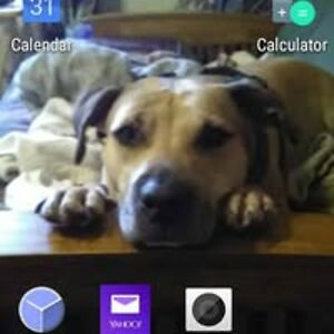 william_reichold avatar