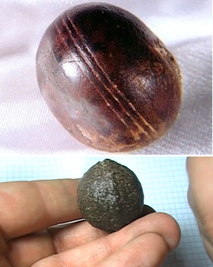 Ancient artifacts with mysterious grooves, held in a hand, on a white and graph paper background.