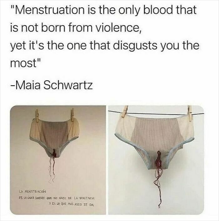 Period meme featuring a humorous quote about menstruation and an image of stained underwear on a clothesline.