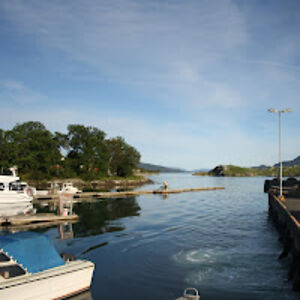 anaritasantos avatar