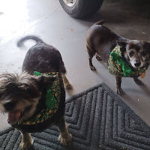 colleenlandrycee avatar