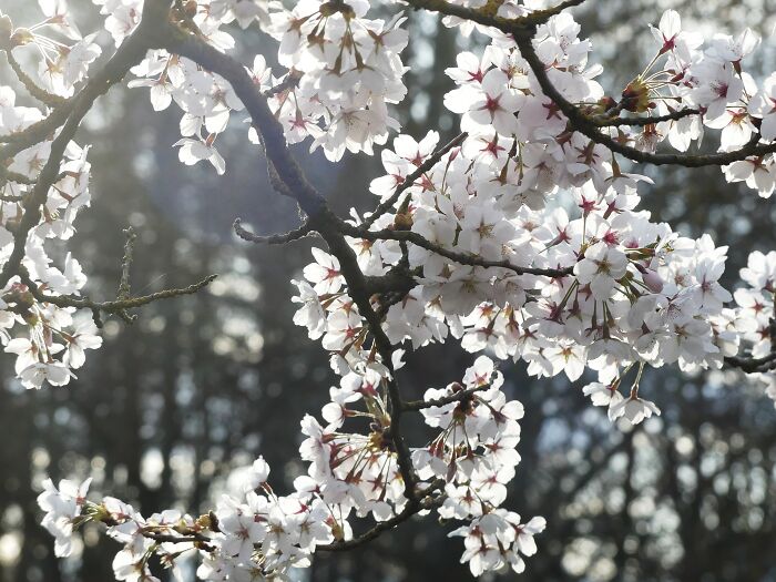 Last Week I´ve Been In Berlin And Took These 39 Pictures