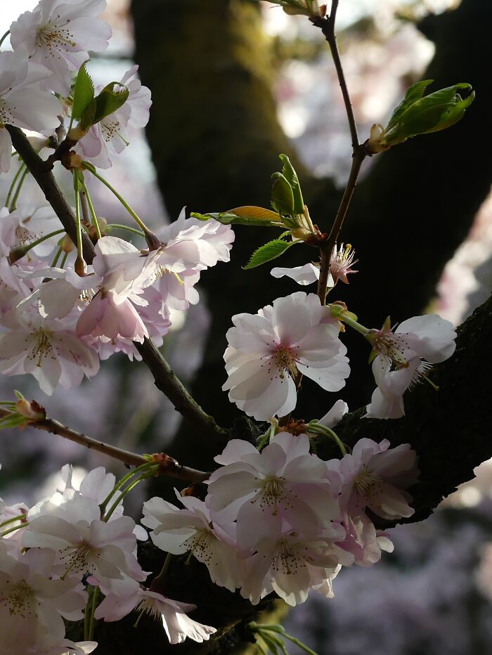 Last Week I´ve Been In Berlin And Took These 39 Pictures