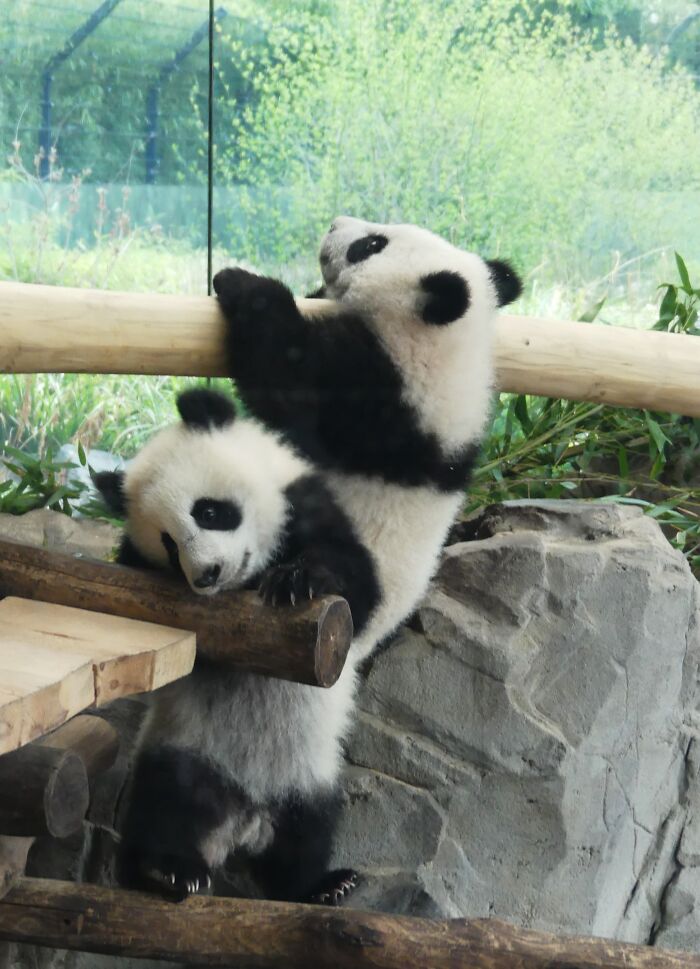 Last Week I´ve Been In Berlin And Took These 39 Pictures