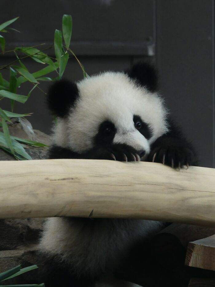 Last Week I´ve Been In Berlin And Took These 39 Pictures