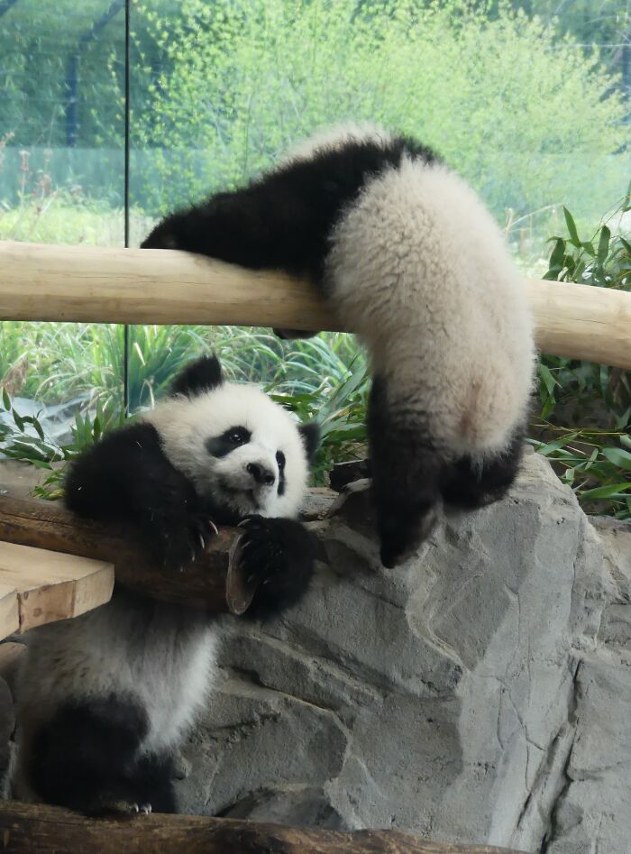 Last Week I´ve Been In Berlin And Took These 39 Pictures