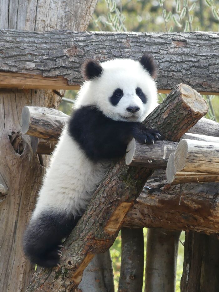 Last Week I´ve Been In Berlin And Took These 39 Pictures