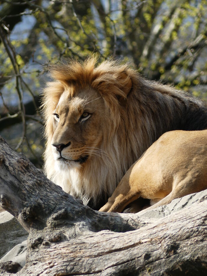 Last Week I´ve Been In Berlin And Took These 39 Pictures