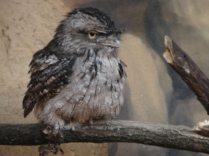 Last Week I´ve Been In Berlin And Took These 39 Pictures