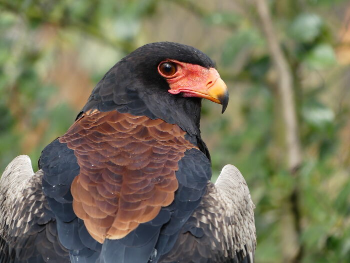 Last Week I´ve Been In Berlin And Took These 39 Pictures