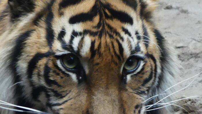 Last Week I´ve Been In Berlin And Took These 39 Pictures