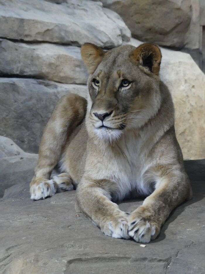 Last Week I´ve Been In Berlin And Took These 39 Pictures