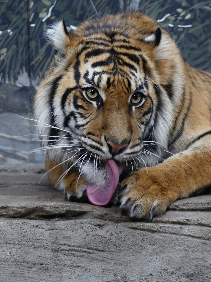 Last Week I´ve Been In Berlin And Took These 39 Pictures