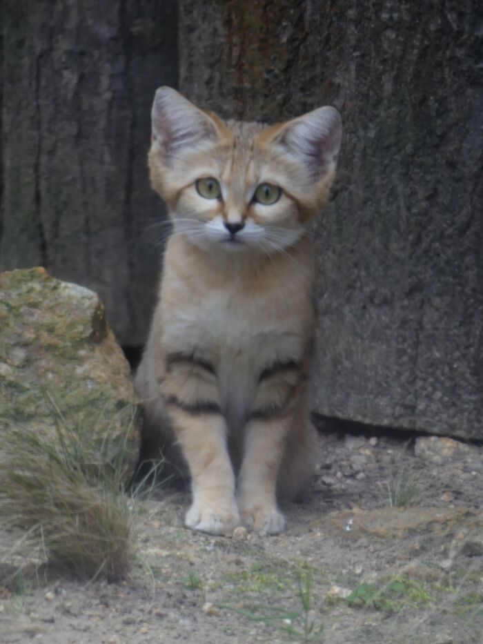 Last Week I´ve Been In Berlin And Took These 39 Pictures