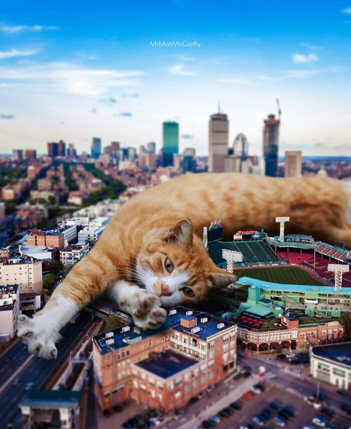 Giant cat lounging over a cityscape, illustrating unsettling art with cats ruling the world.