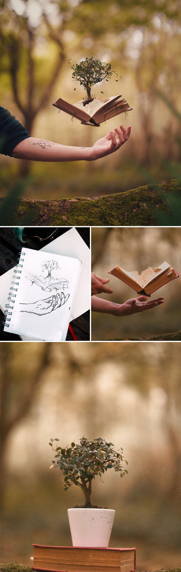 Photo manipulation showing a tree growing from an open book, sketch concepts displayed below.