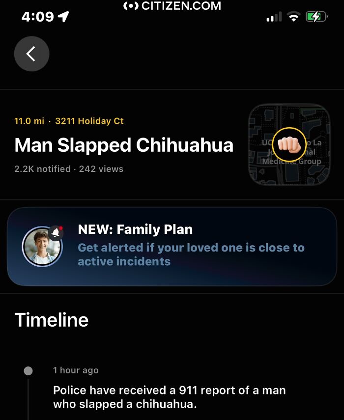 Man Slaps Chihuahua Justice For The Tiny, Furious