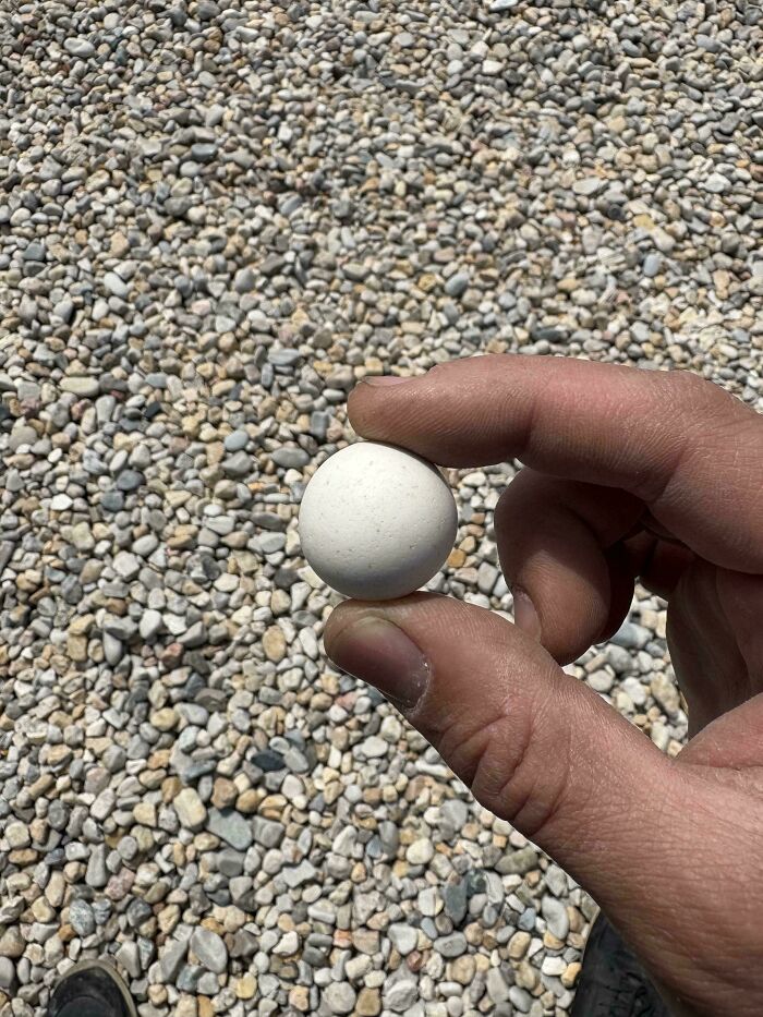Hand holding a small white ball over a bed of unremarkable pebbles, highlighting boring yet entertaining photos.