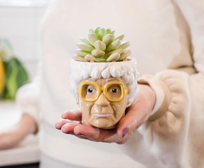 Hand holding a humorous planter shaped like an elderly woman’s head with yellow glasses and a succulent inside, a funny Mother's Day gift.