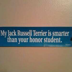 lauriematthews avatar