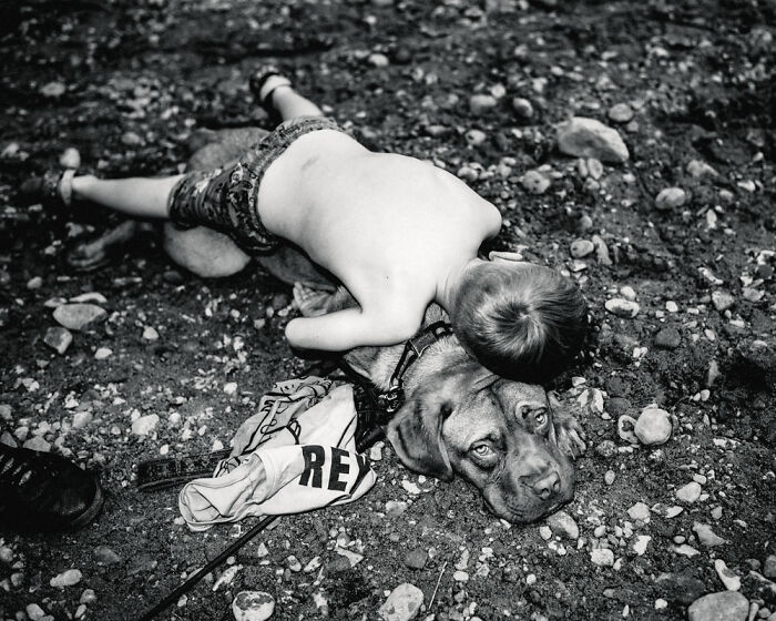 "To Water" By Rollo Hollins