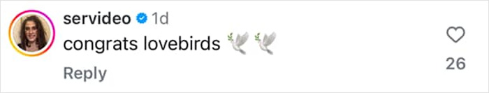 Comment saying "congrats lovebirds" with dove emojis and 26 likes. Comment saying "congrats lovebirds" with dove emojis and 26 likes.