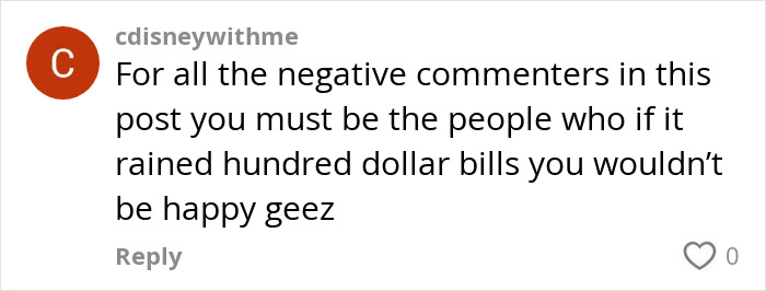 Disney fan comment expressing frustration over negative responses. Disney fan comment expressing frustration over negative responses.