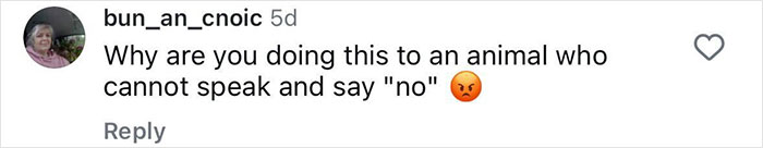 Comment criticizing animal treatment with angry emoji, mentioning inability to speak "no". Comment criticizing animal treatment with angry emoji, mentioning inability to speak "no".