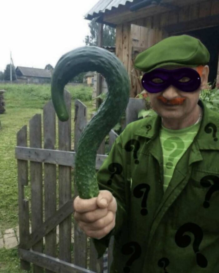 Random Cursed Object 40 Random Cursed Images That Cannot Be Explained | Bored Panda
