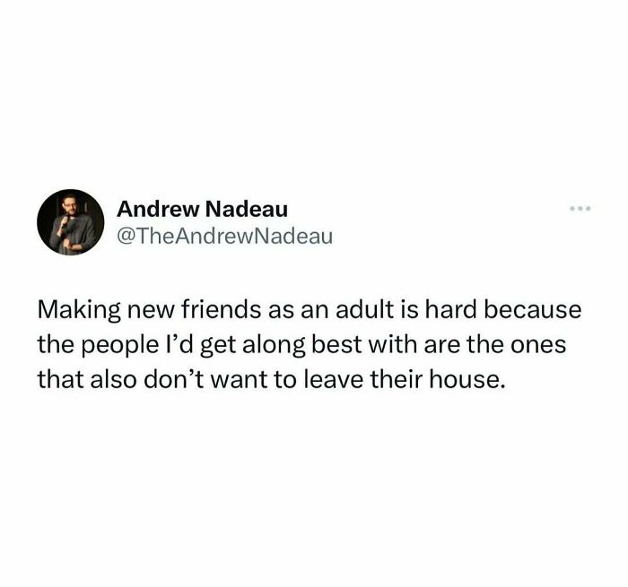 Relatable meme about adult friendships and staying home.