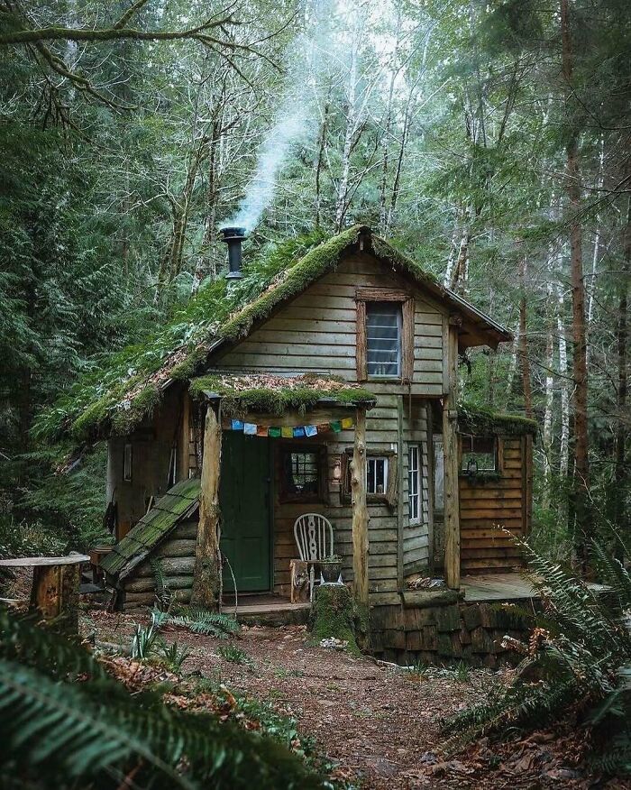 Rustic tiny home with a mossy roof and chimney smoke, surrounded by dense forest, inspiring life off the grid.