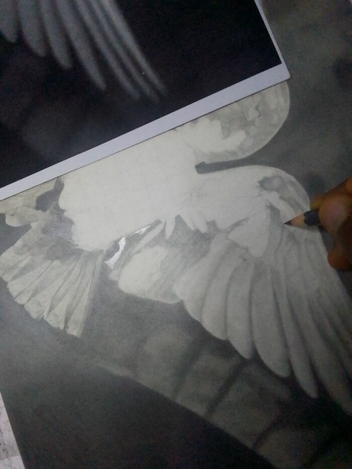 From Pencil To Purpose: The Rise Of Onome Happiness, Aka Tlog Art, In The Global Art Scene (8 Pics)