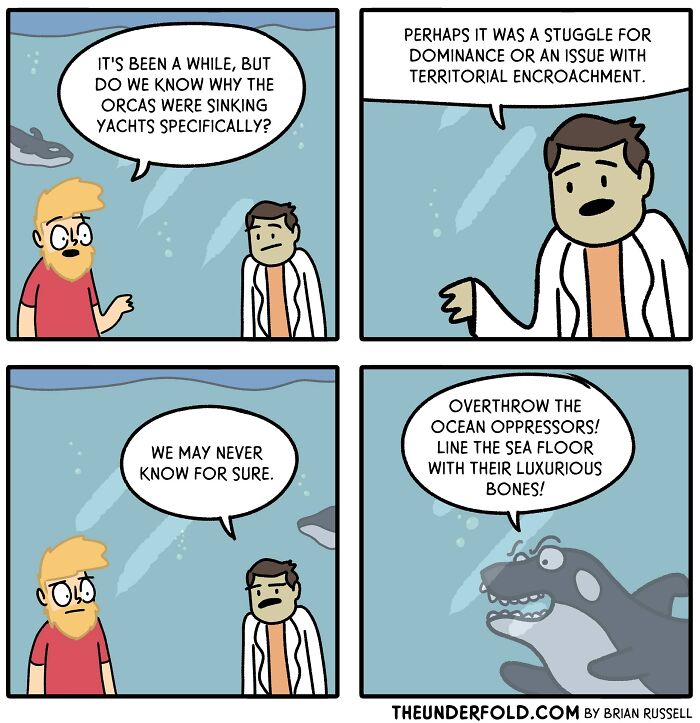 Two men discuss orcas sinking yachts as an orca plots against "ocean oppressors." Real-life-inspired comic humor.