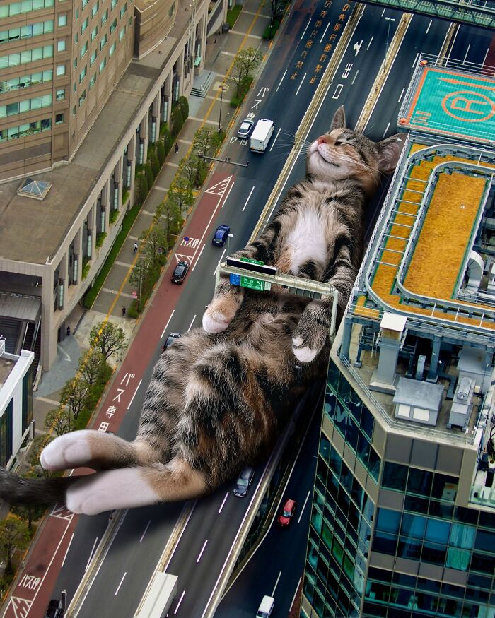 Giant cat lounging between city buildings, illustrating adorably unsettling art concepts.