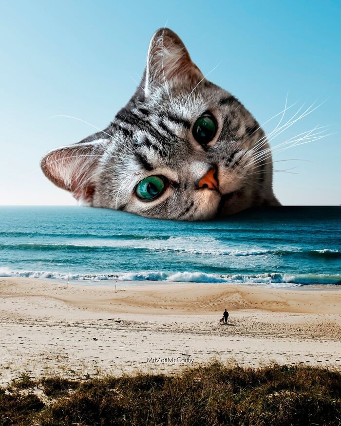 Giant cat head emerges from the ocean, dwarfing the beach and a lone human figure, in surreal art piece.