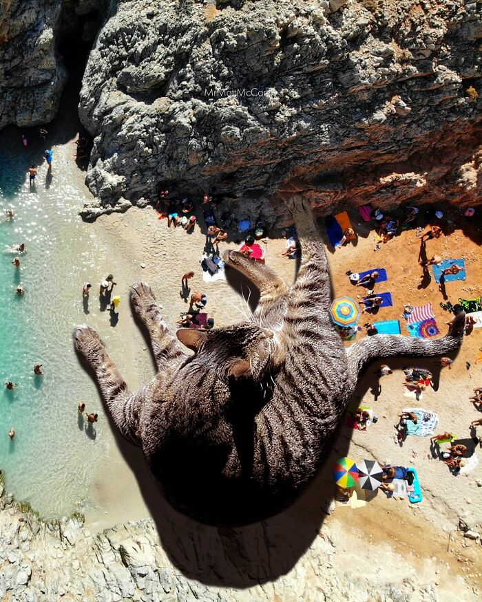 Giant cat art piece shows feline lounging over a beach scene, creating a surreal and unsettling contrast.