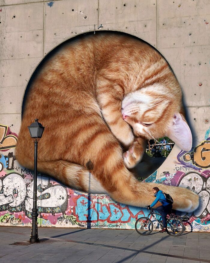 Giant cat on colorful, graffiti-covered wall with a cyclist passing by.