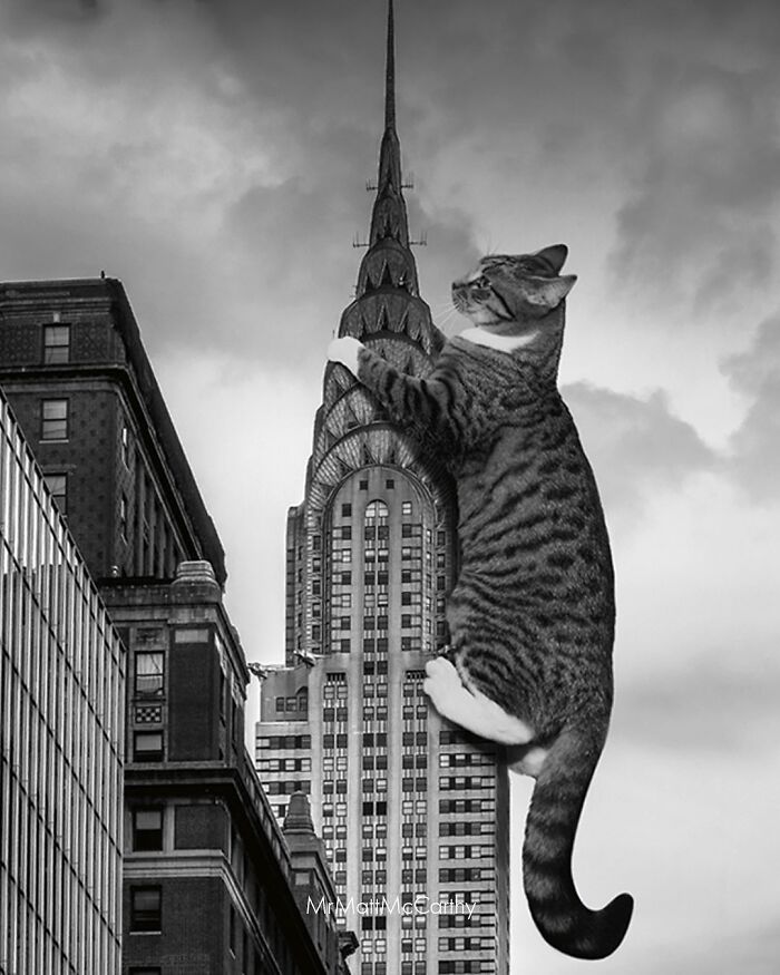 Giant cat climbing skyscraper in black and white cityscape, creating an adorably unsettling scene.