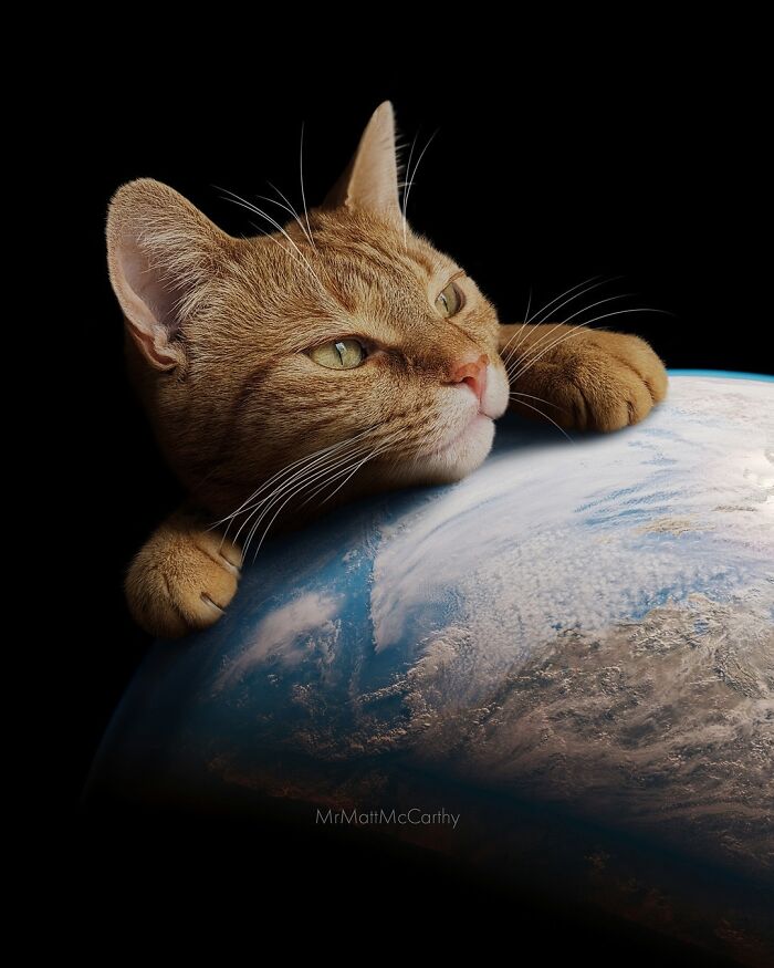 Giant cat resting on Earth, showcasing adorably unsettling art of feline world dominance.