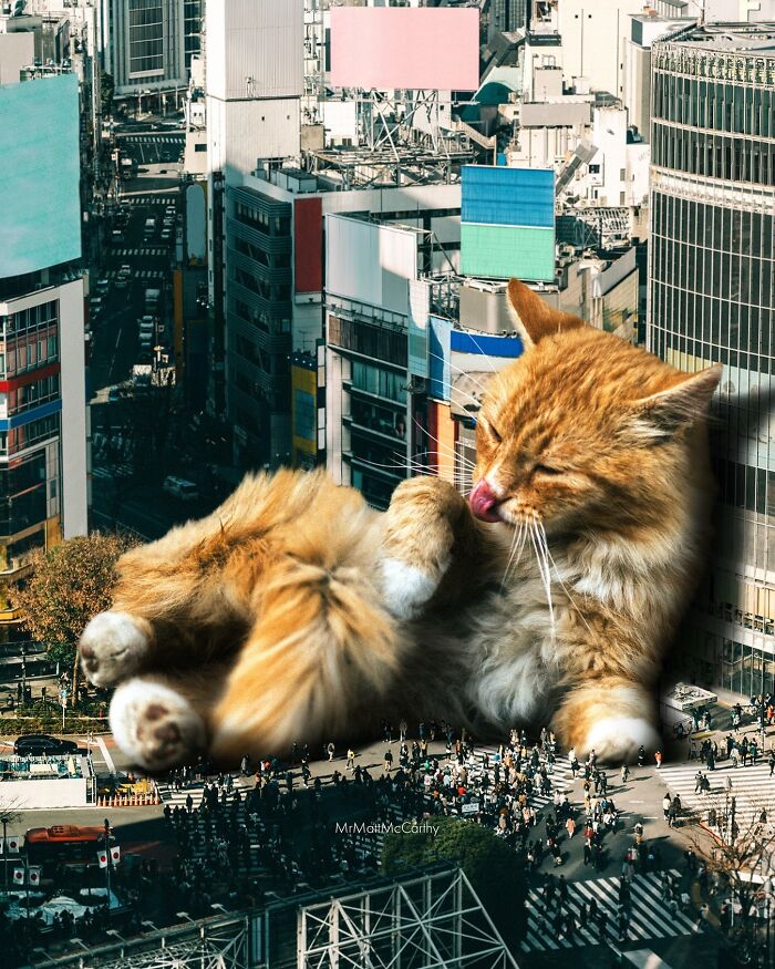 Giant cat lounging over cityscape, illustrating a fantastical world.