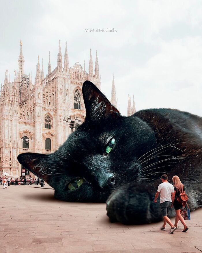Giant cat lounging in city square, with historic architecture in the background, illustrating cats ruling the world.