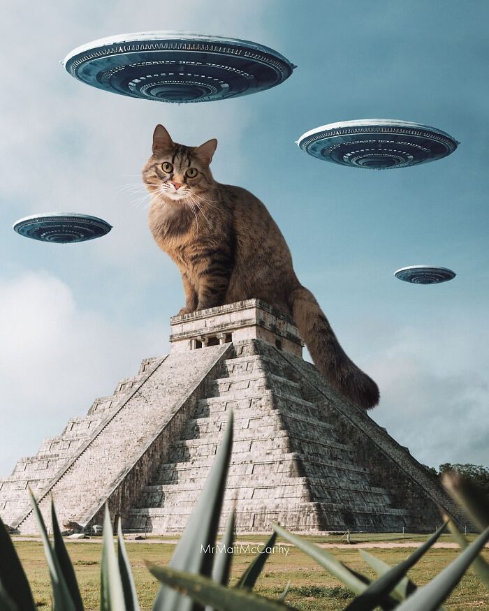 Giant cat perched atop a pyramid with UFOs hovering, illustrating the unsettling art theme of cats ruling the world.