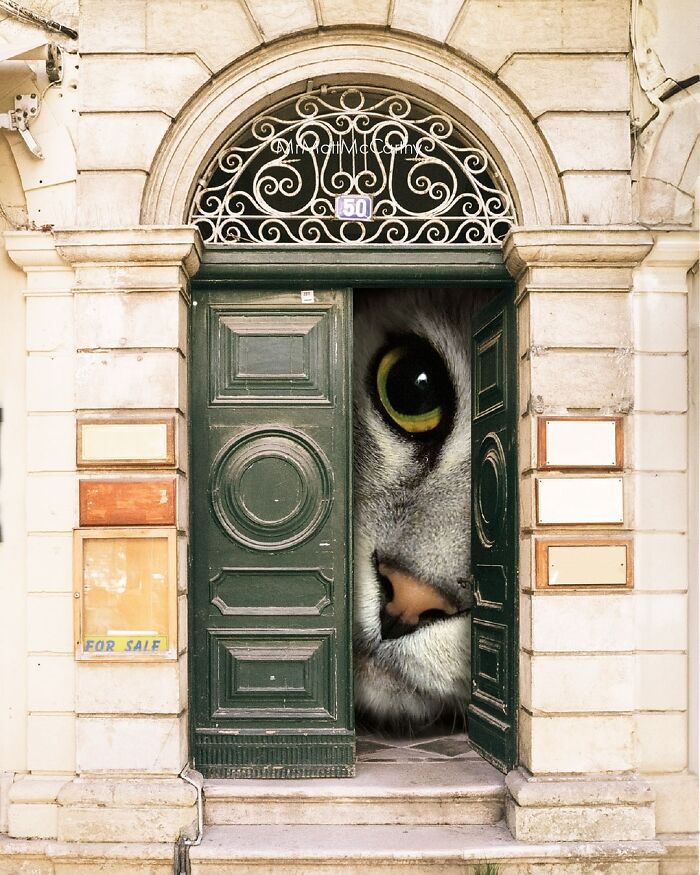 Giant cat peering through a partially open door, showcasing unsettling art of cats ruling the world.