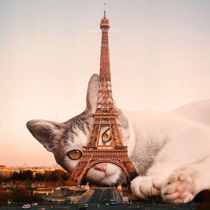 Giant cat merged with Eiffel Tower in surreal art piece.