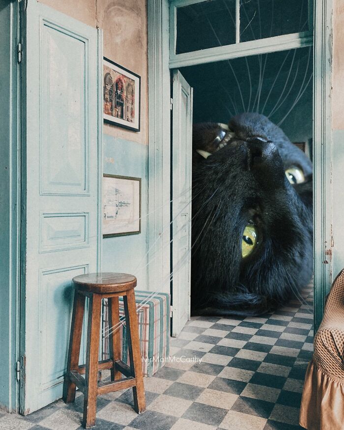 Giant black cat with green eyes peers through a doorway in a vintage room, showcasing unsettling art.