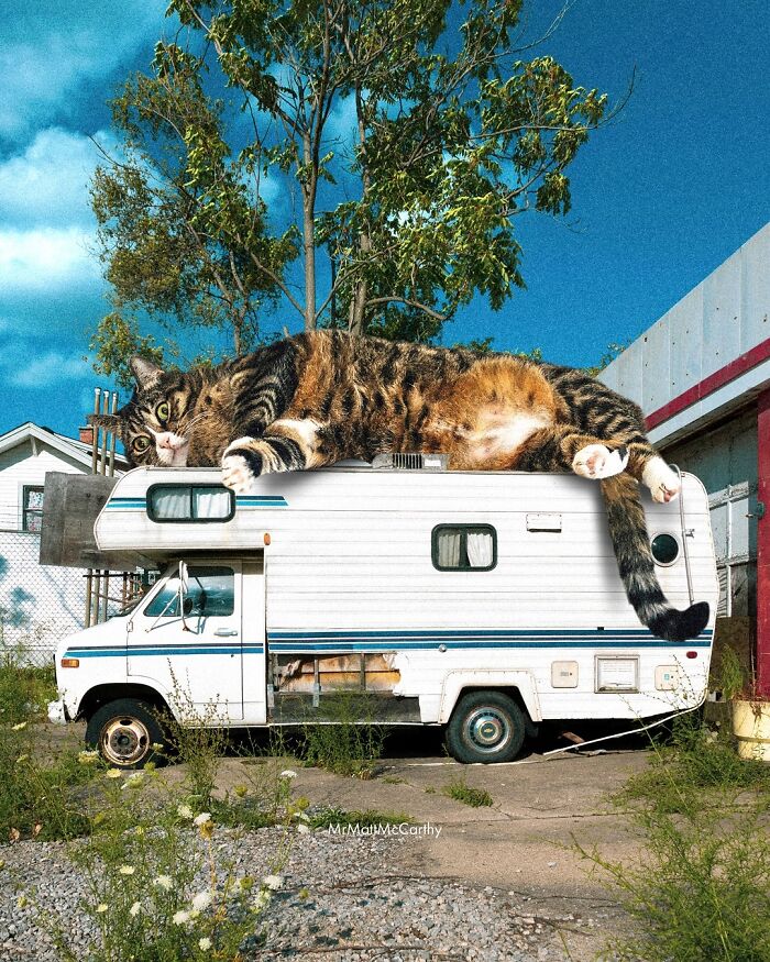 Giant cat lounging on a camper, showcasing adorably unsettling art.