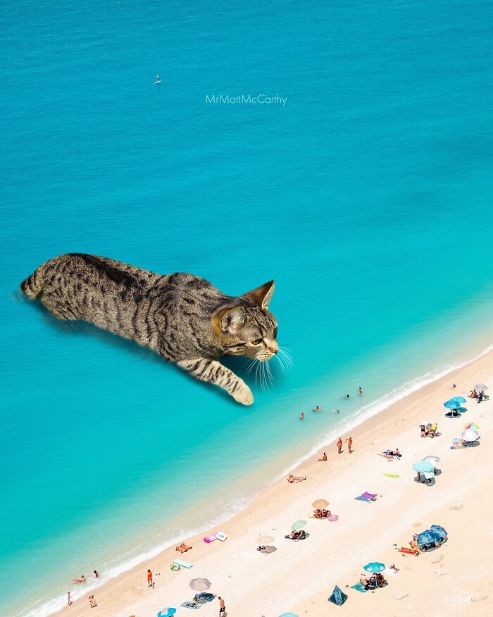 Giant cat resting in the ocean near a busy beach, depicting giant cats ruling the world.