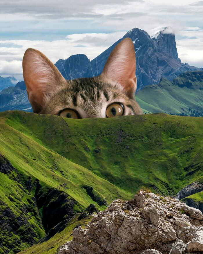 Giant cat peering over a green hill with mountains in the background, evoking a playful sense of giant cats ruling the world.